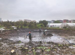 越西河道鱼塘清淤